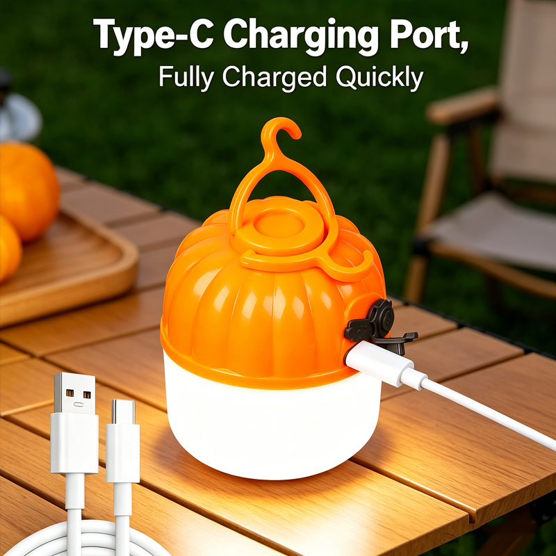 Mini Lampe LED Portable en For - Outdoor Lighting Types avis et prix