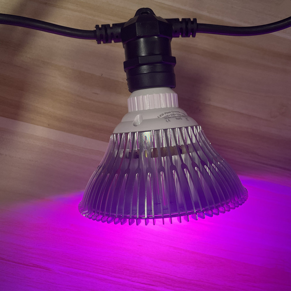 Guirlande lumineuse LED de 10M - Lighting Wedding Outdoor avis et prix